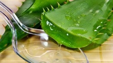 lidah buaya untuk meningkatkan potensi pria